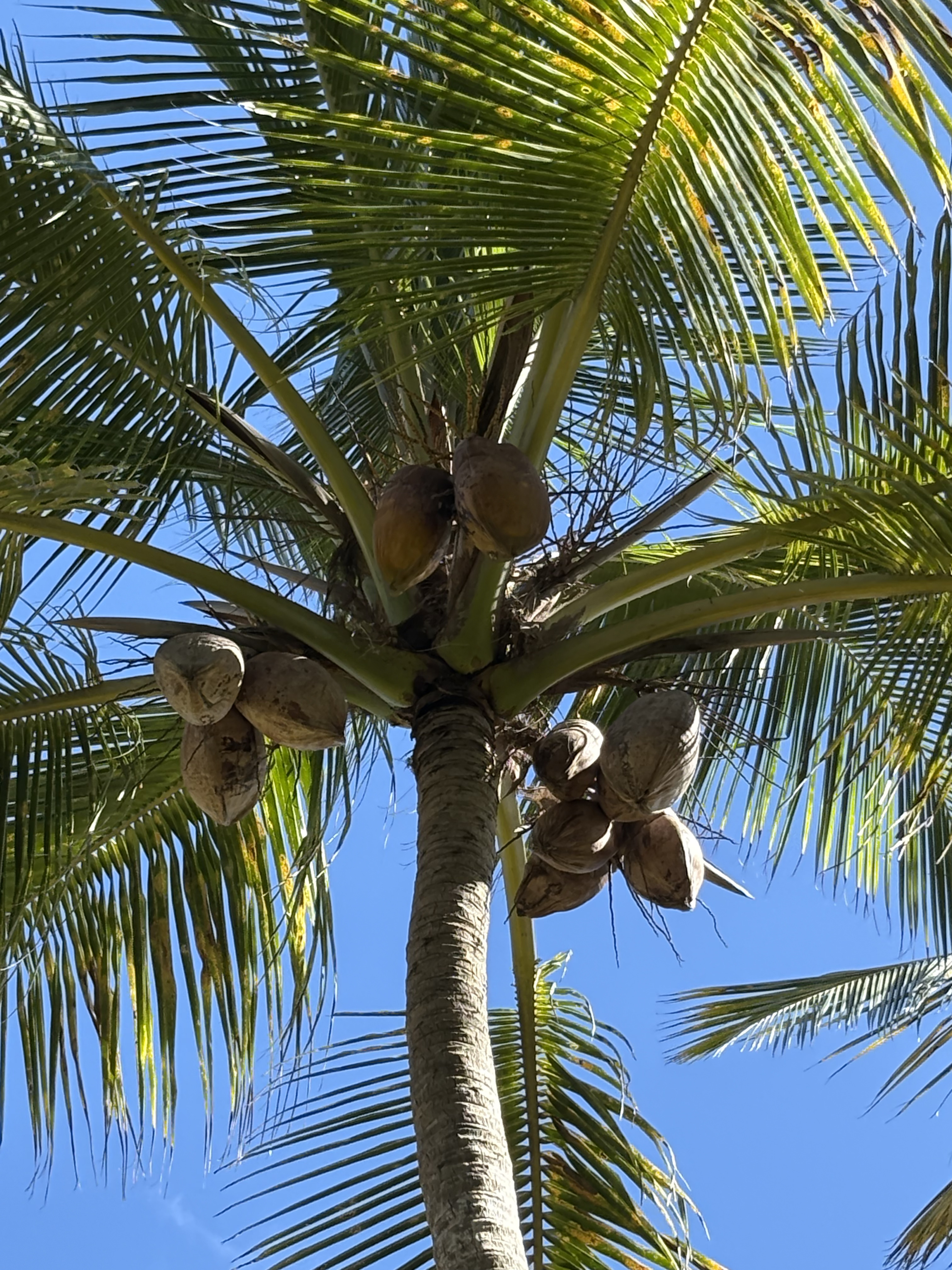 Pollards Mill Gallery 13