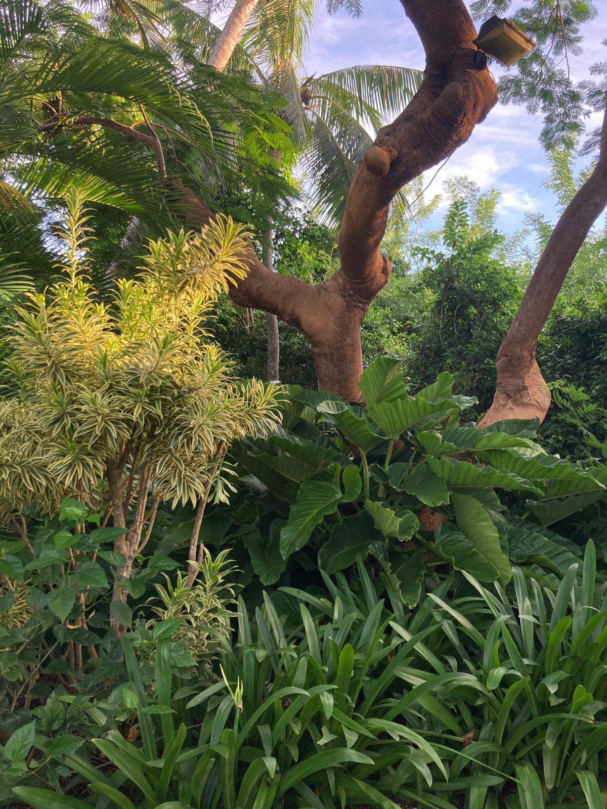 Pollards Mill Gallery 17