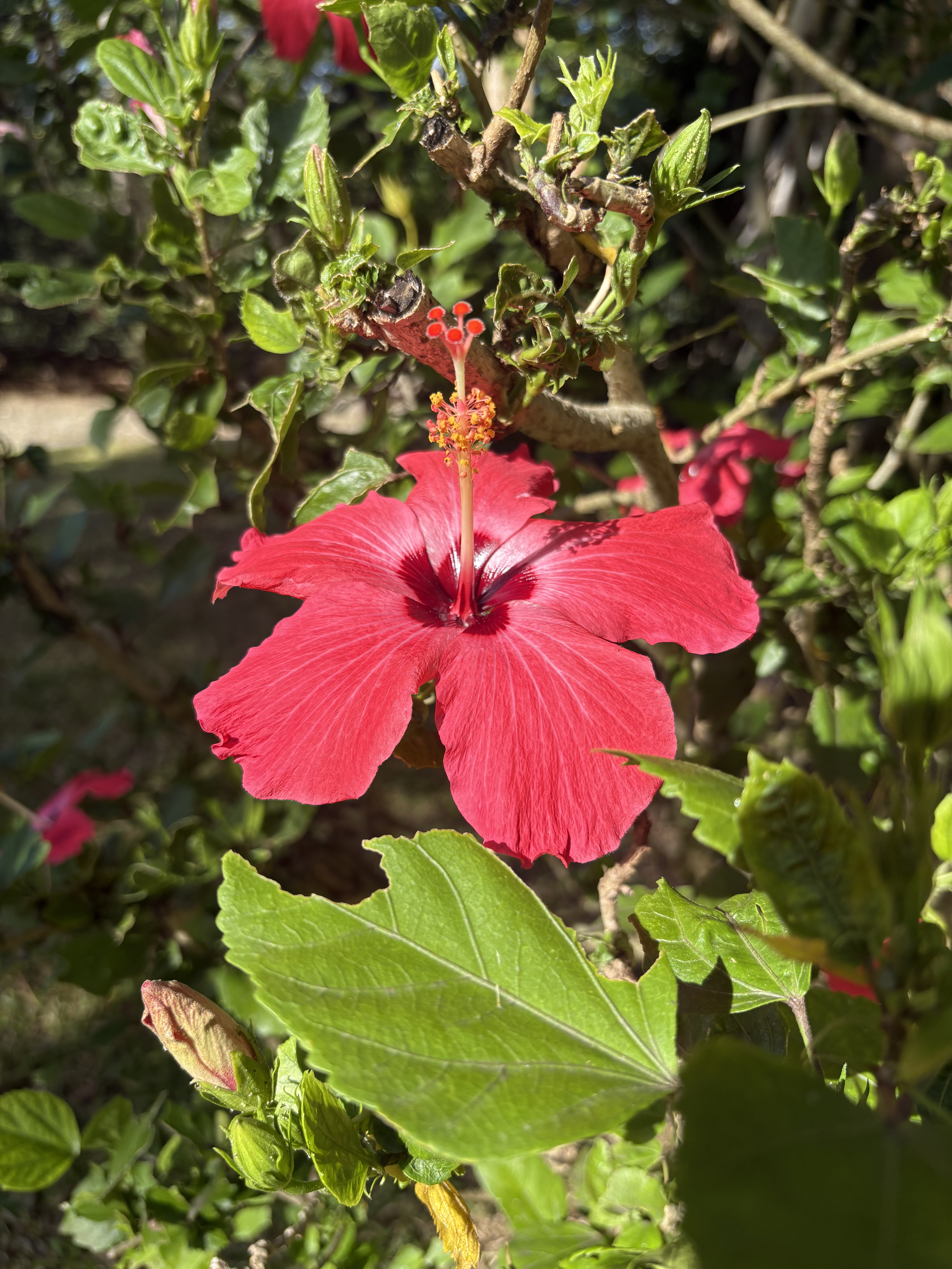 Pollards Mill Gallery 21