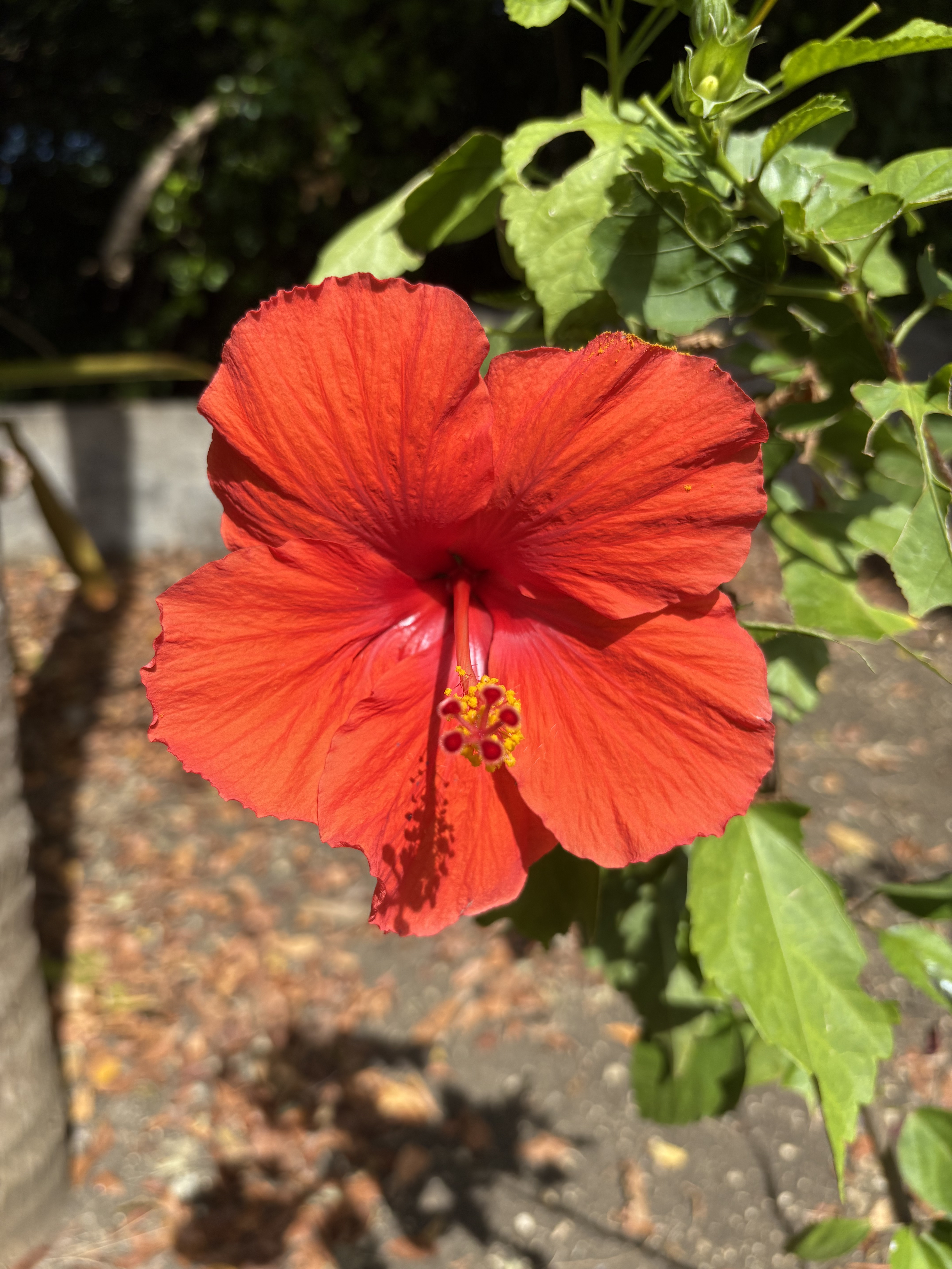 Pollards Mill Gallery 8